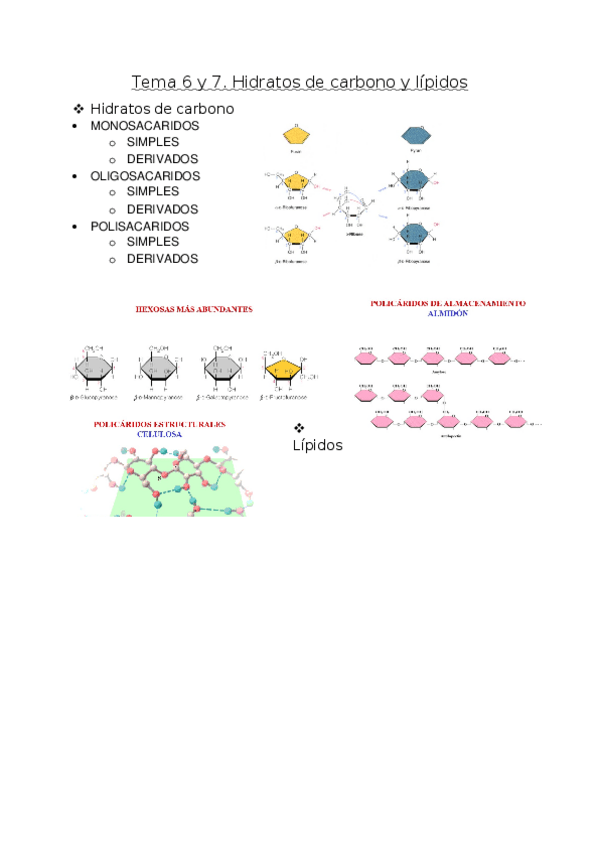 Miniatura del documento Tema-6-y-7.docx
