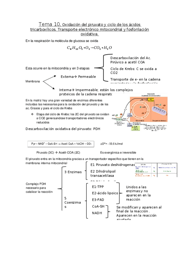 Miniatura del documento Tema-10.docx