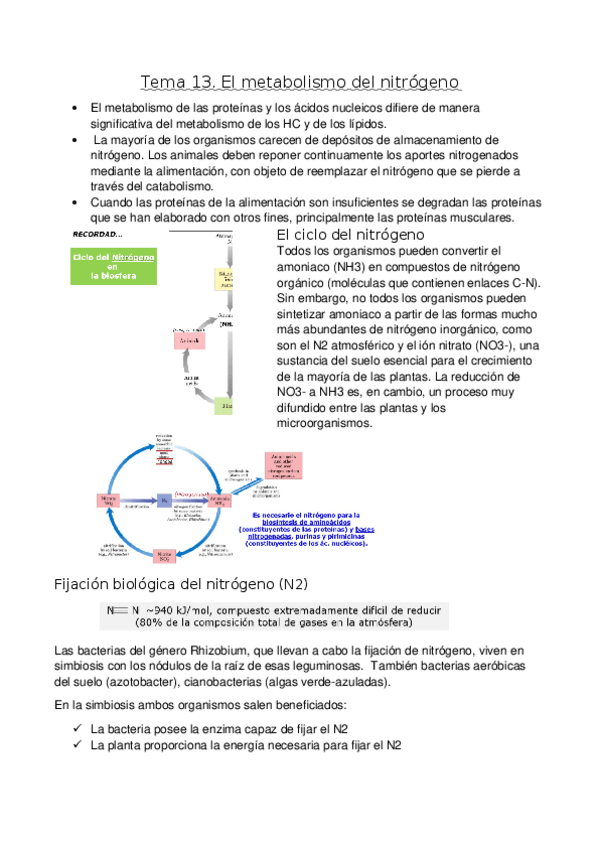 Miniatura del documento Tema-13.docx