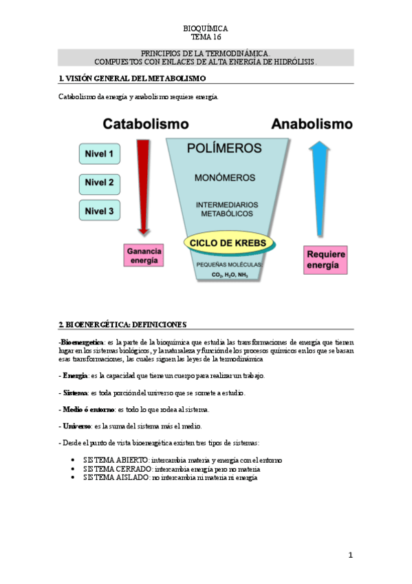 Miniatura del documento TEMA-16-BIOQUIMICA.pdf
