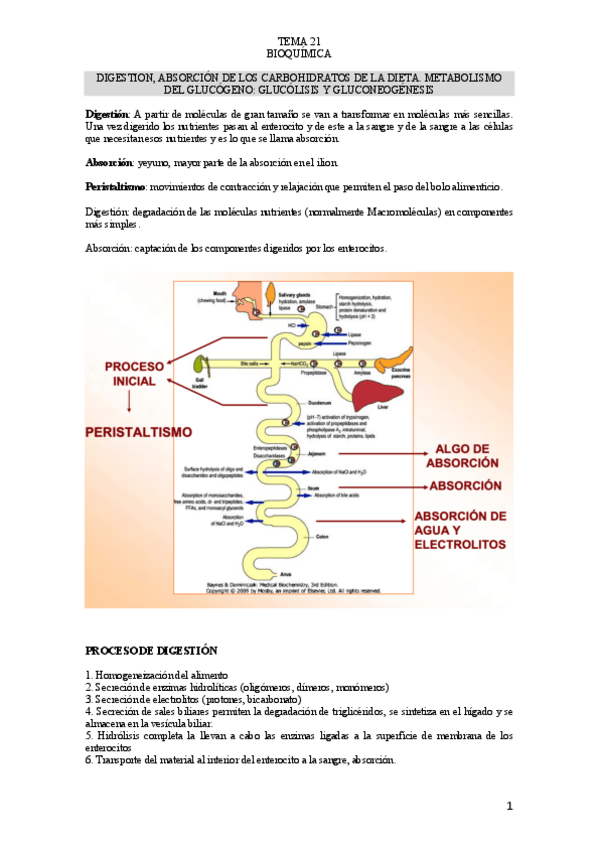Miniatura del documento TEMA-21.pdf