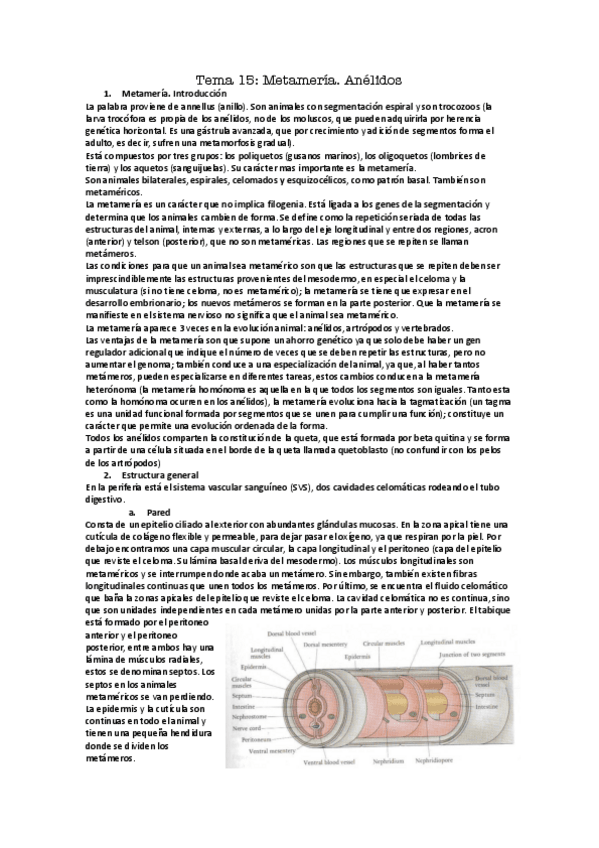Miniatura del documento Tema-15.pdf