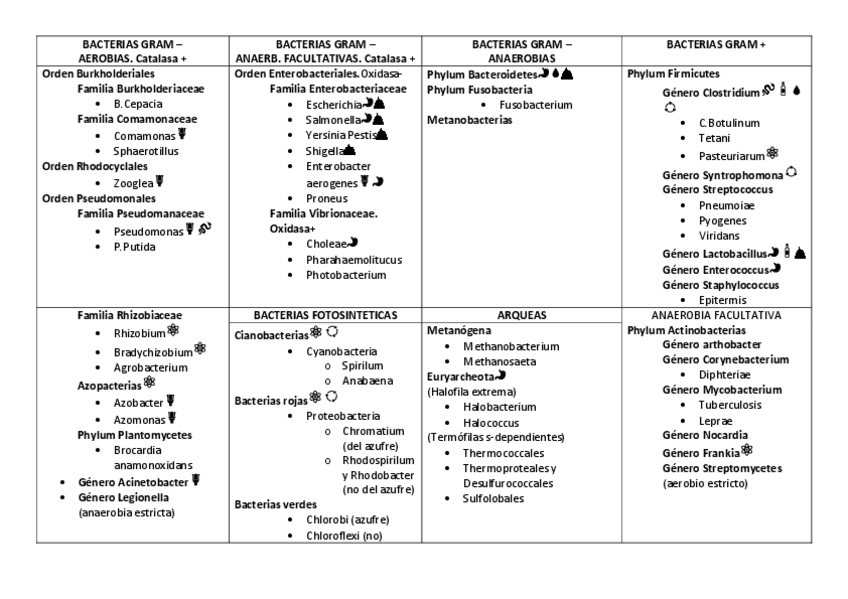 Miniatura del documento BACTERIAS.pdf