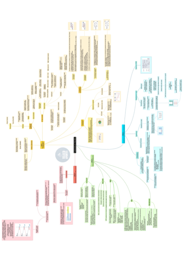 Miniatura del documento Teoria-y-ejercicios-FTlem.pdf