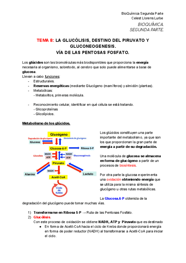 Miniatura del documento SEGUNDA-PARTE-BIOQUIMICA.pdf