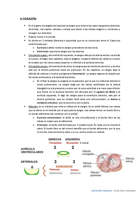 Miniatura del documento corazon-.pdf