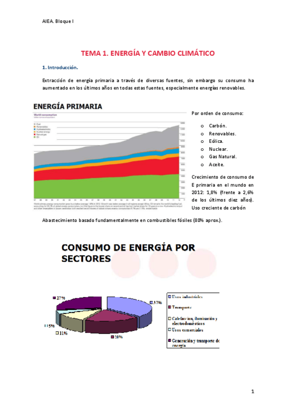 Miniatura del documento APUNTES AIEA - BLOQUE I.pdf