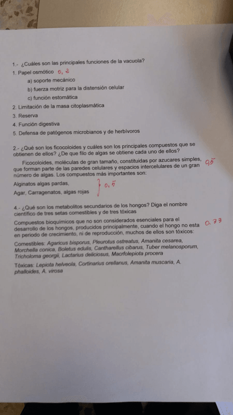 Miniatura del documento botanica1.jpg