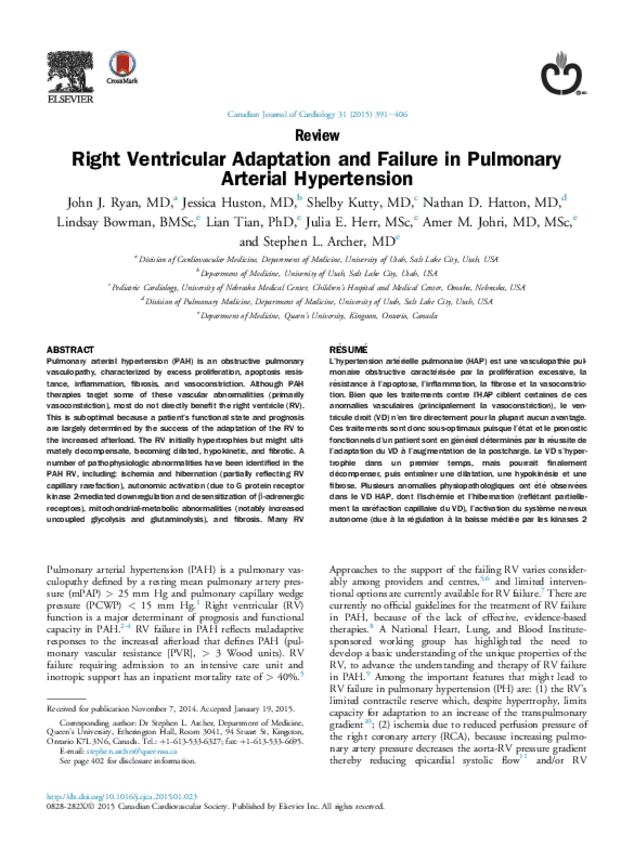 Miniatura del documento hioertensionpulmonarenglish-1.pdf