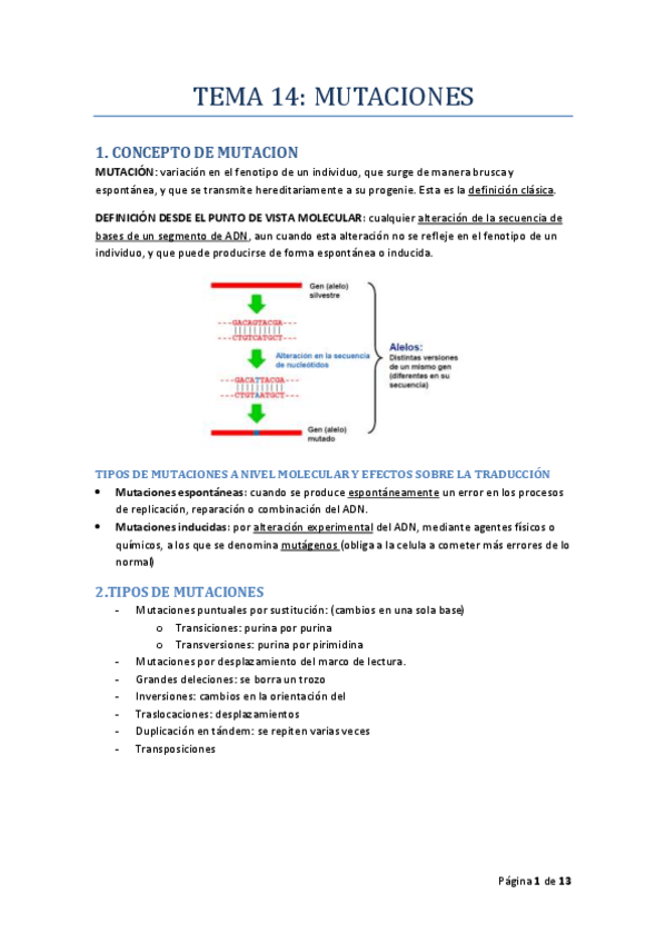 Miniatura del documento TEMA_14_MICRO_I_RODELAS.pdf