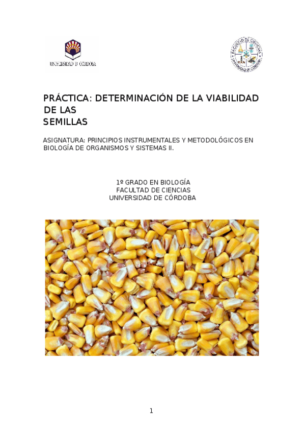 Miniatura del documento PRACTICA-SEMILLAS.docx