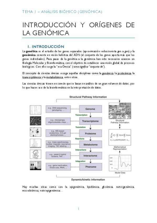 Miniatura del documento TEMA-1-GENOMICA-pdf.pdf