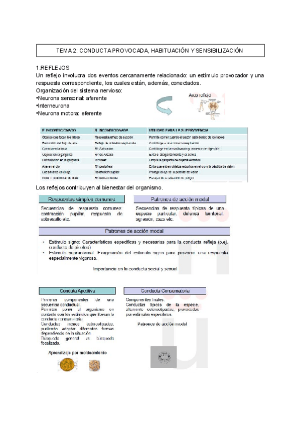 Miniatura del documento TEMA-2-P.pdf
