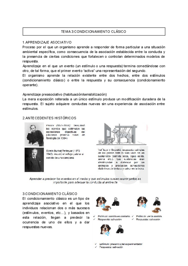 Miniatura del documento TEMA-3-P.pdf