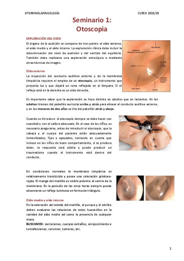 Miniatura del documento OTOSCOPIA-SEMINARIO-1.pdf