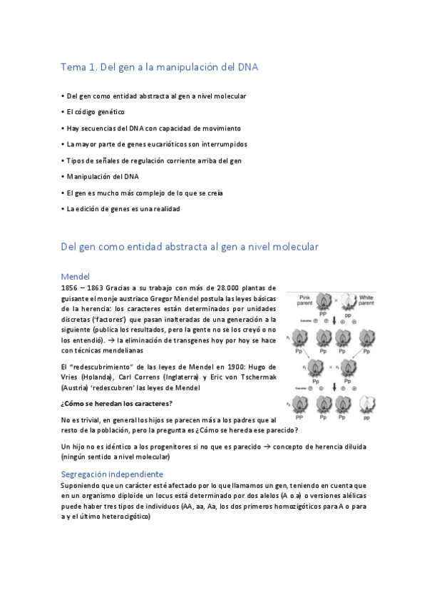 Miniatura del documento Tema-1.pdf