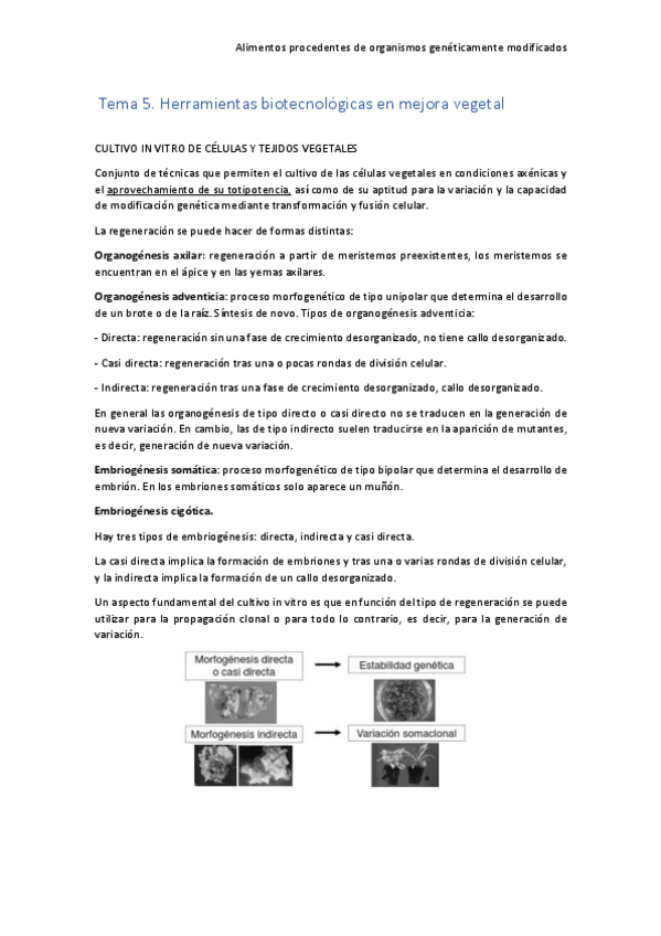 Miniatura del documento Tema-5.pdf