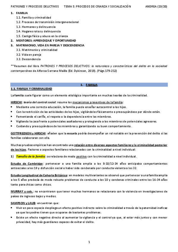 Miniatura del documento T5PATRONES-Y-PROCESOS-DELICTIVOSANDREA.pdf