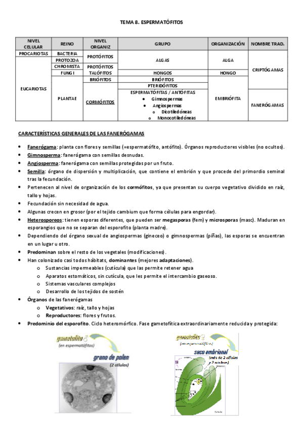 Miniatura del documento Botanica2parteBelen.pdf