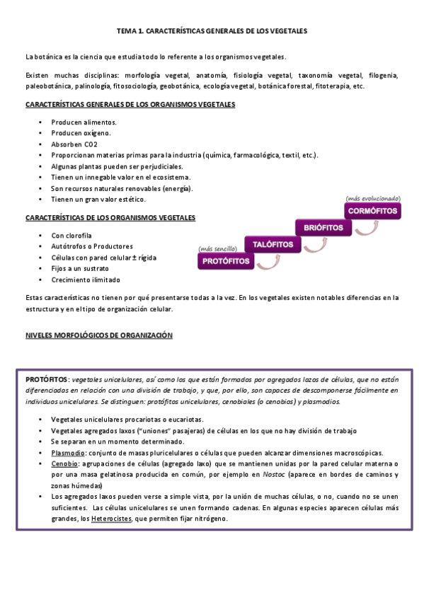 Miniatura del documento Botanica1parteBelen.pdf