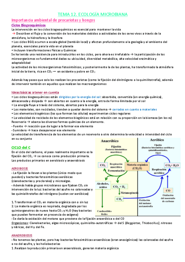 Miniatura del documento Tema12.pdf