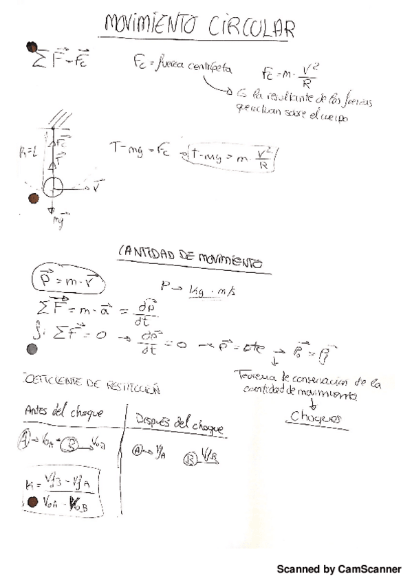 Miniatura del documento movimiento-circular-y-cantidad-de-movimiento.pdf