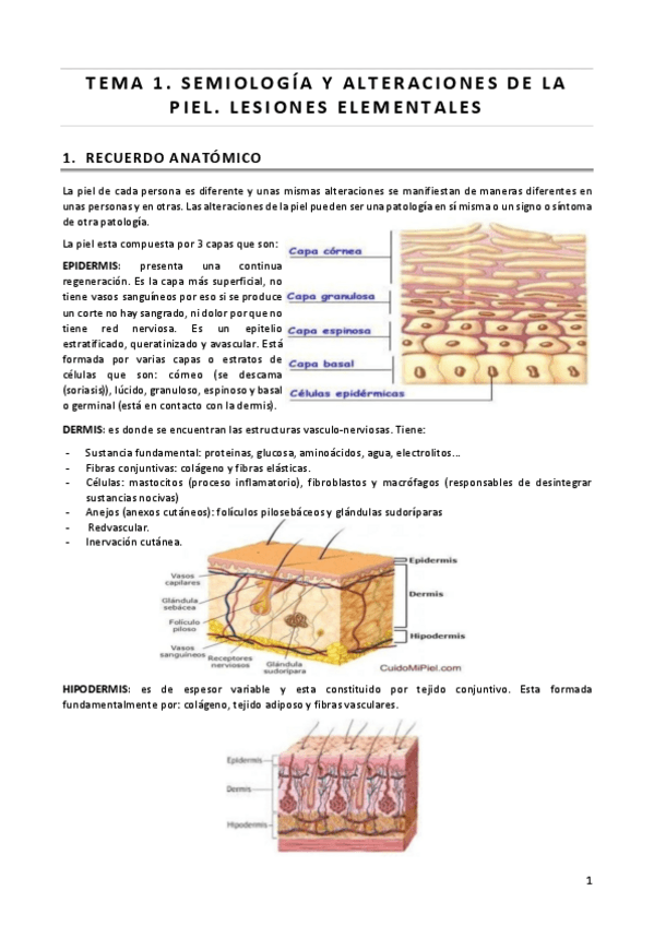Miniatura del documento ALTERACIONES-DE-LOS-MECANISMOS-FISIOLOGICOS.pdf