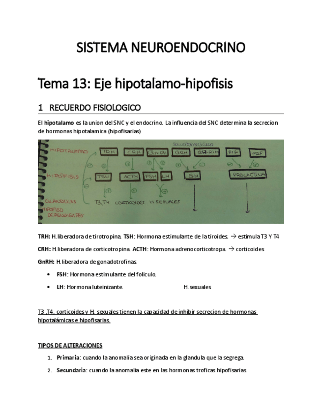 Miniatura del documento tema 13 hipotalamo.pdf