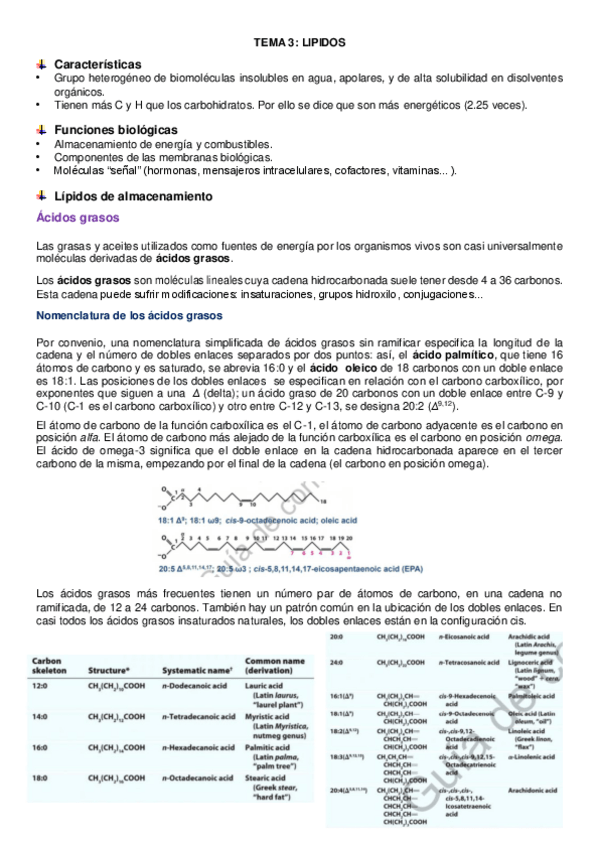 Miniatura del documento tema-3-bioquimica.pdf