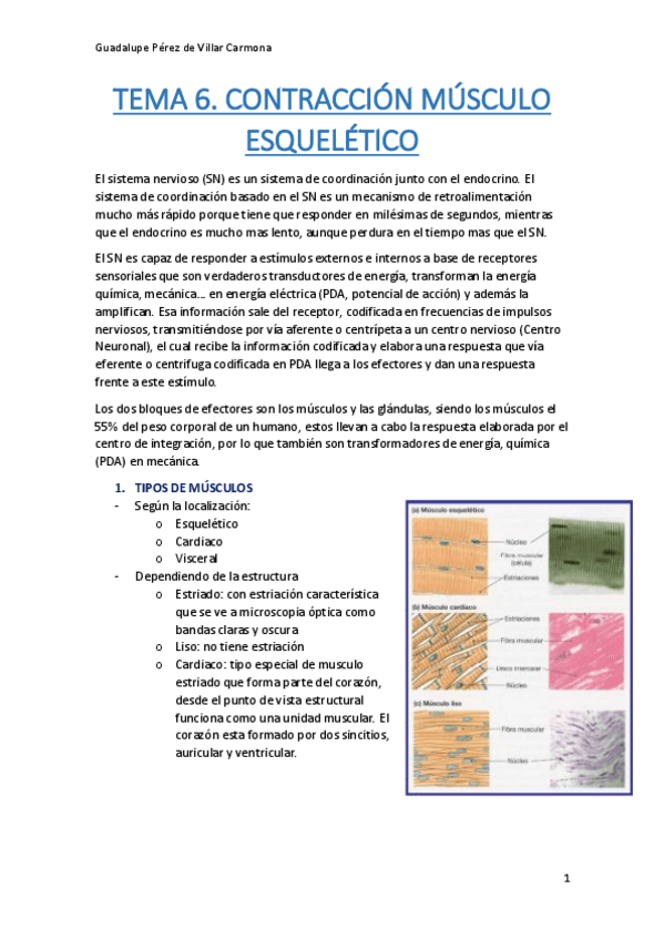 Miniatura del documento TEMA-6-AMPLIACION-FISIO.pdf