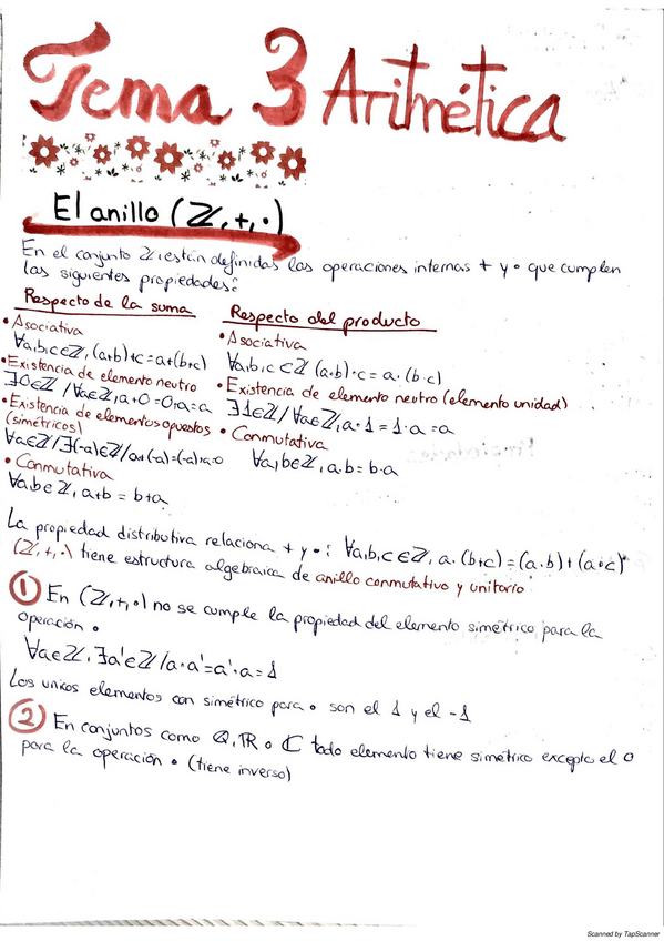 Miniatura del documento tema-3-aritmetica.pdf