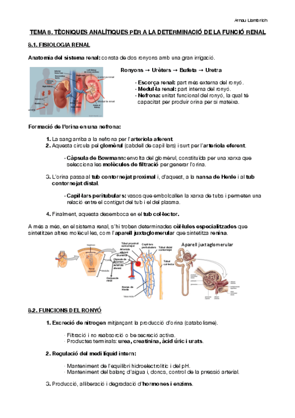 Miniatura del documento Apunts-Analisis-Cliniques-i-diagnosi-de-laboratori-Tema-8.pdf