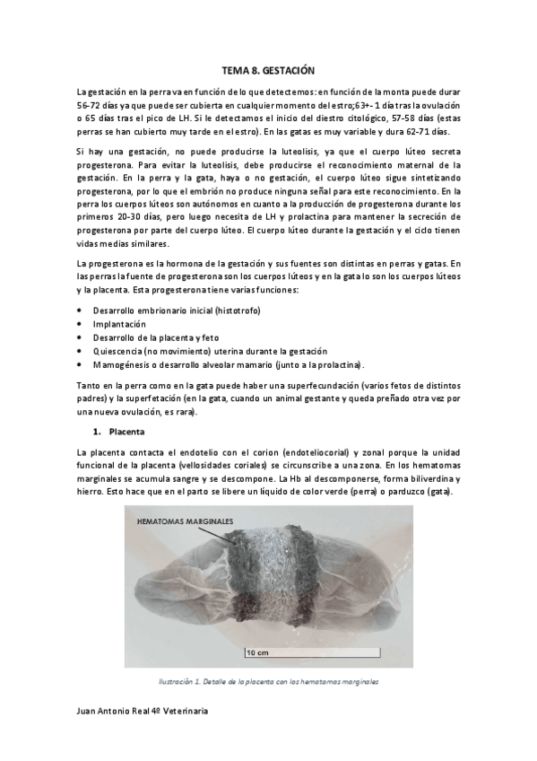Miniatura del documento Tema-8.pdf