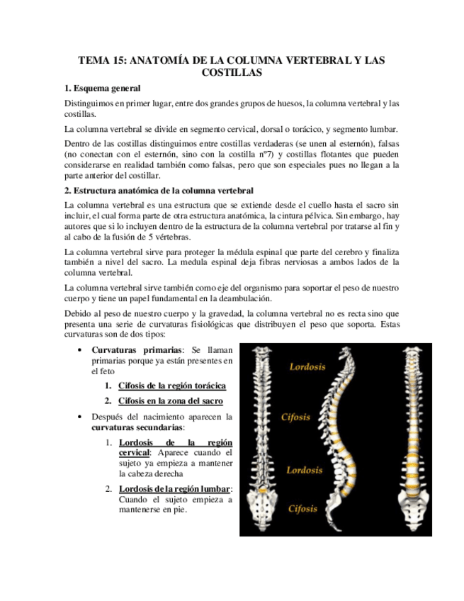 Miniatura del documento Tema-15.pdf