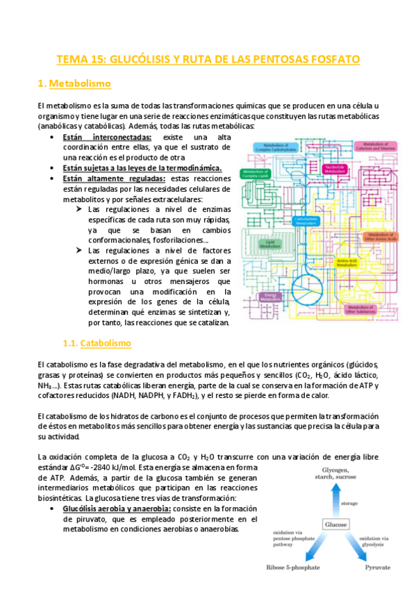 Miniatura del documento TEMA-15-Bioquimica.pdf
