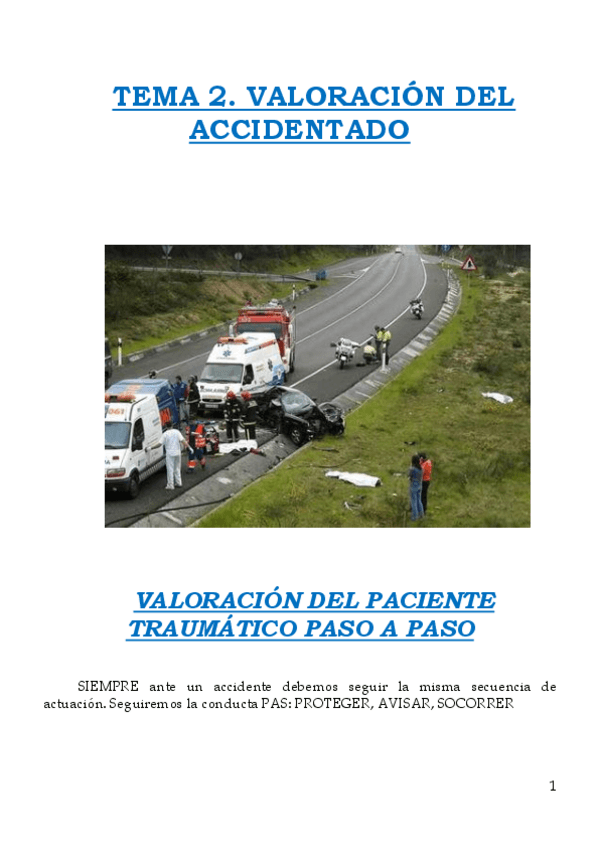 Miniatura del documento TEMA-2.pdf