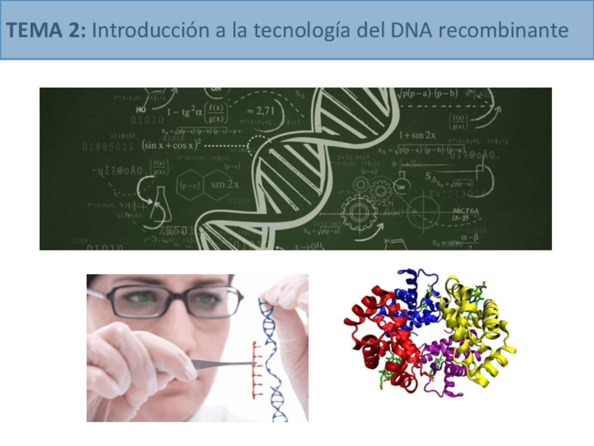 Miniatura del documento Tema2primeraparte.pdf