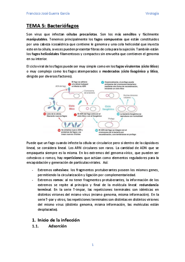 Miniatura del documento Tema-5.pdf