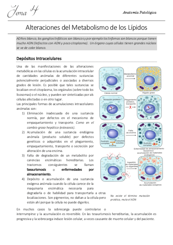 Miniatura del documento 4. AP.pdf