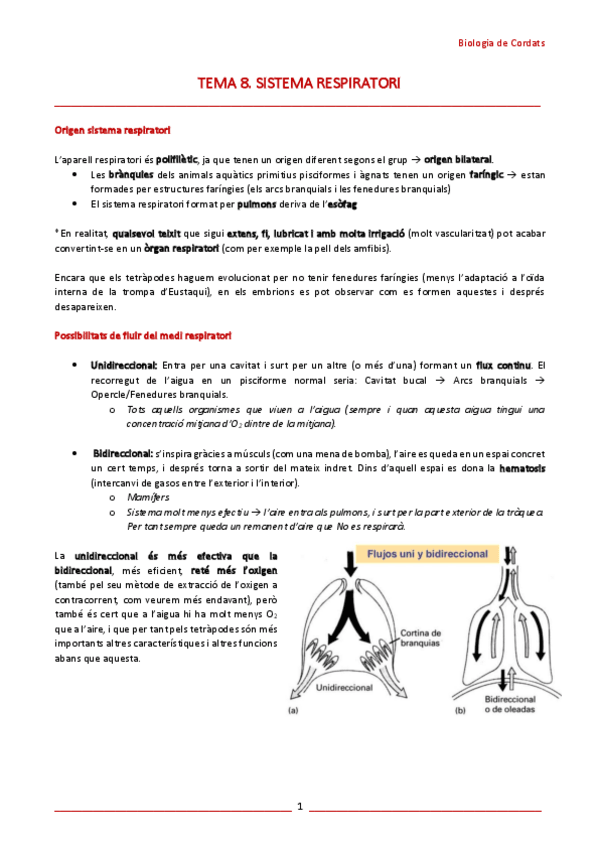 Miniatura del documento T8-Sistema-respiratorio.pdf
