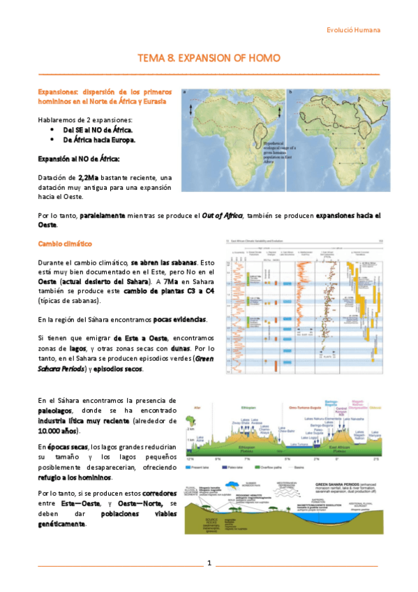 Miniatura del documento T8-Expansion-of-Homo.pdf