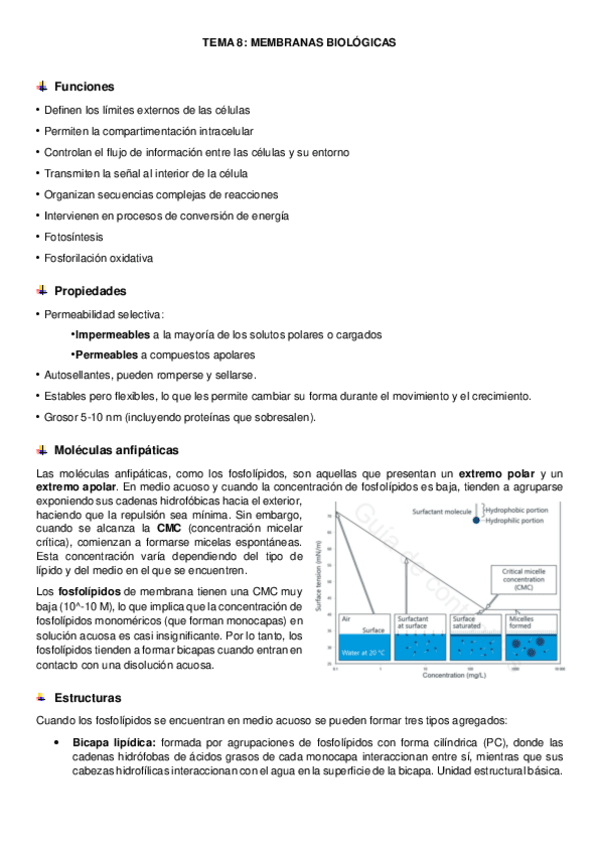 Miniatura del documento tema-8-bioquimica.pdf