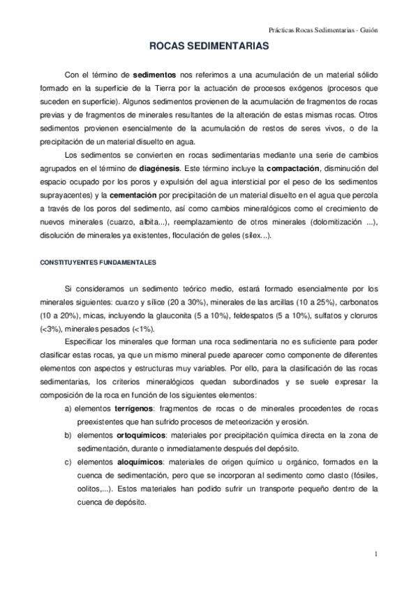 Miniatura del documento Rocas-sedimentarias-Guion.pdf