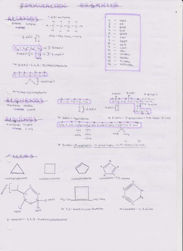 Miniatura del documento FORMULACION-ORGANICA.pdf