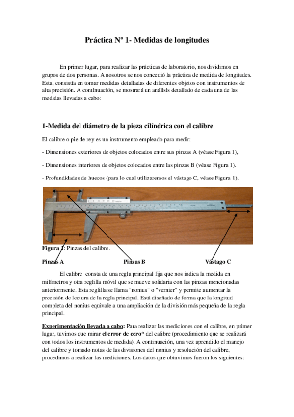 Miniatura del documento Informe Nº1.pdf