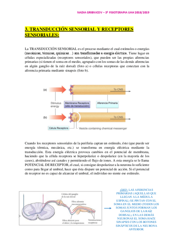 Miniatura del documento 3.pdf
