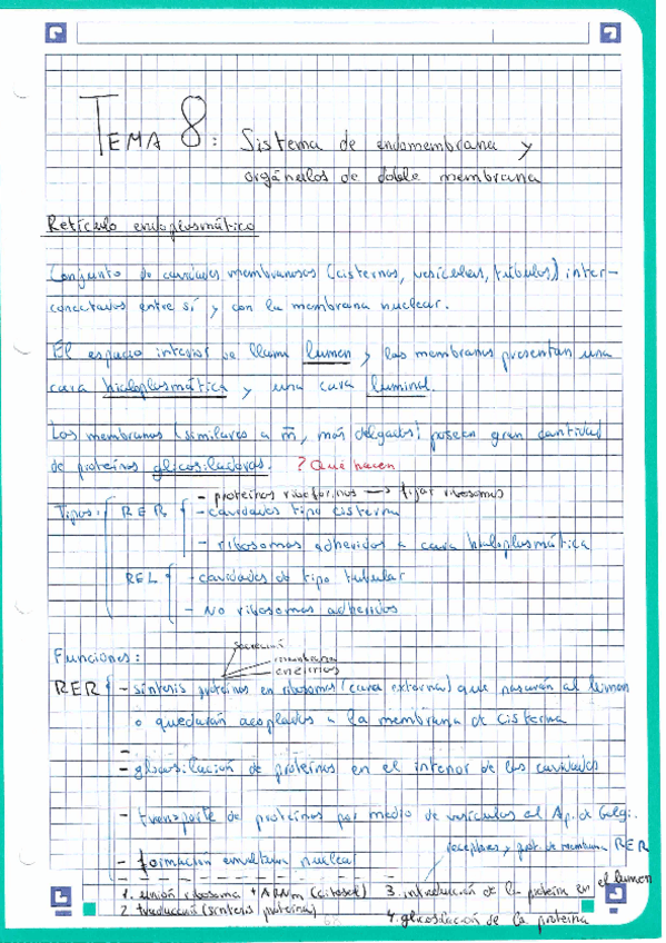 Miniatura del documento Tema-8-Sistema-de-endomembrana-y-organulos-de-doble-membrana.pdf