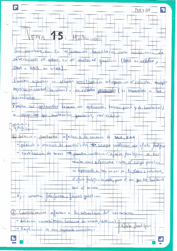 Miniatura del documento Tema-15-Mutaciones.pdf