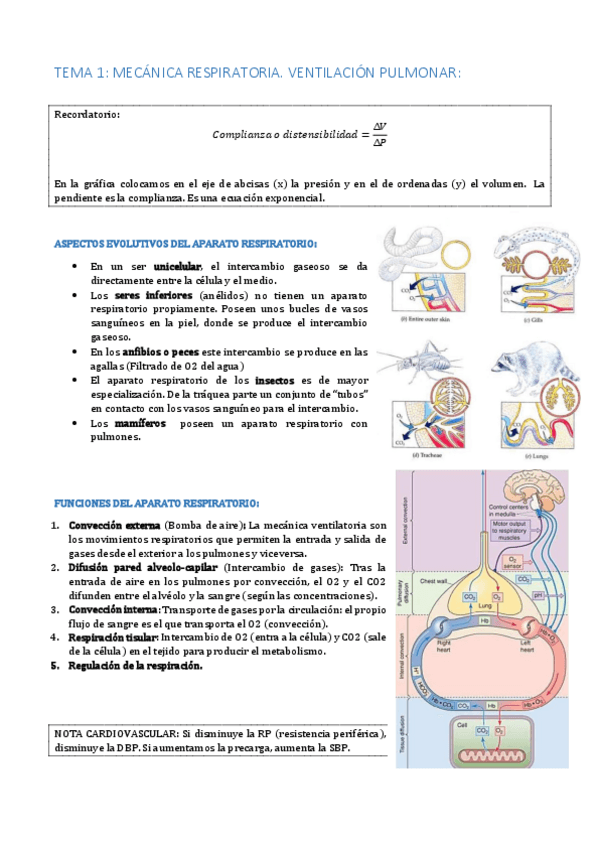 Miniatura del documento Bloque 2.pdf