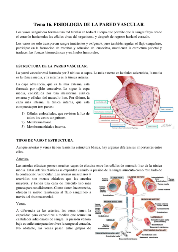 Miniatura del documento Tema-16.pdf